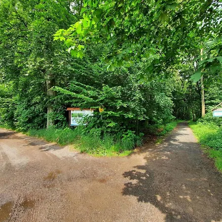 Lovely, Cozy, Close To Forest, Low-cost In شقة *